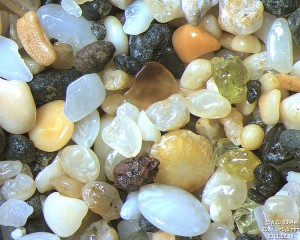 Sand from Kalalau Beach in Hawaii seen under a microscope