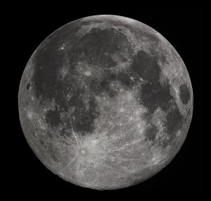 Moonrakers:  Getting the Big Cheese!